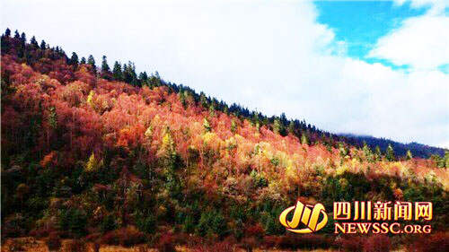 四川红叶生态旅游节暨马尔康红叶节开幕