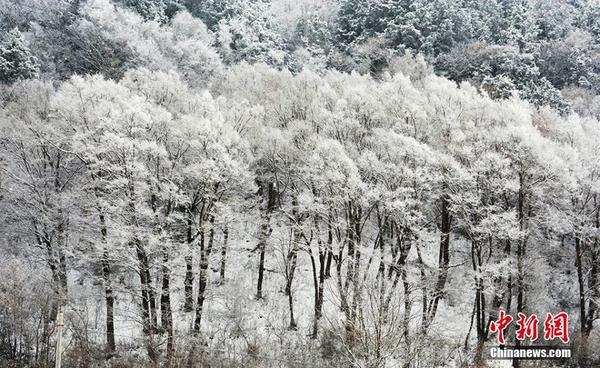 阿坝州理县迎来第一场冬雪