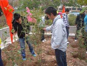 阿坝县开展迎“五·四”青年植树活动