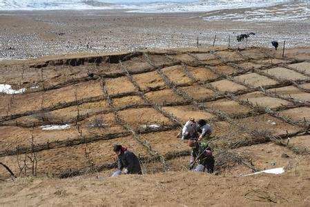 若尔盖县启动实施花湖湿地生态修复