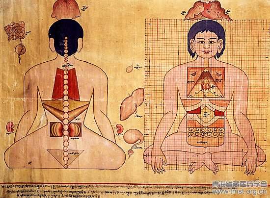藏医诊断疾病的方法