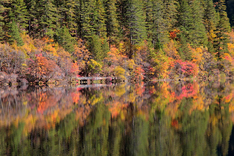 九寨沟县今年招商引资资金到位20亿