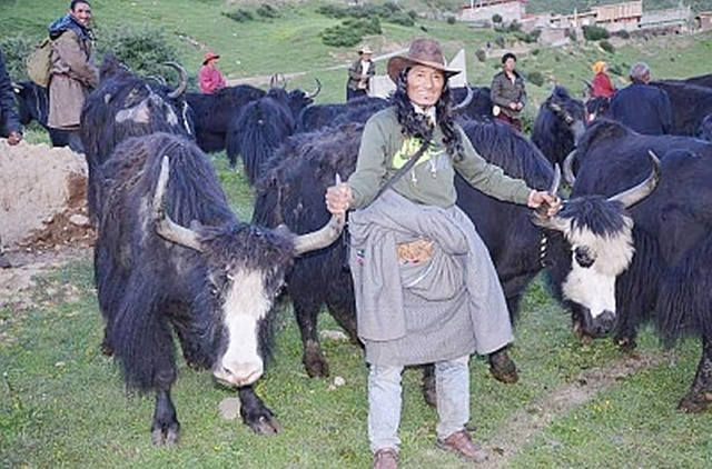 壤塘县公安局 严打整治取得实效