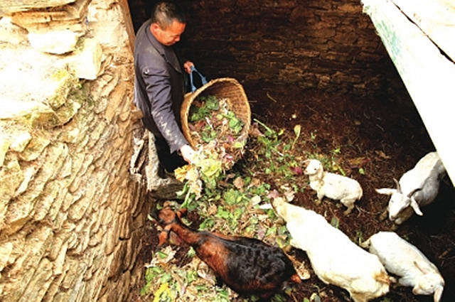 汶川县地税局帮助贫困户尽早脱贫