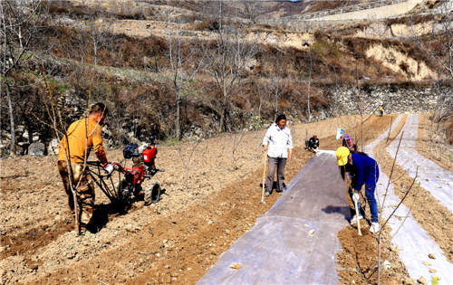九寨沟县全面掀起大春作物种植高潮