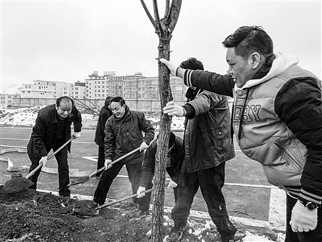 甘孜县 义务植树热潮涌