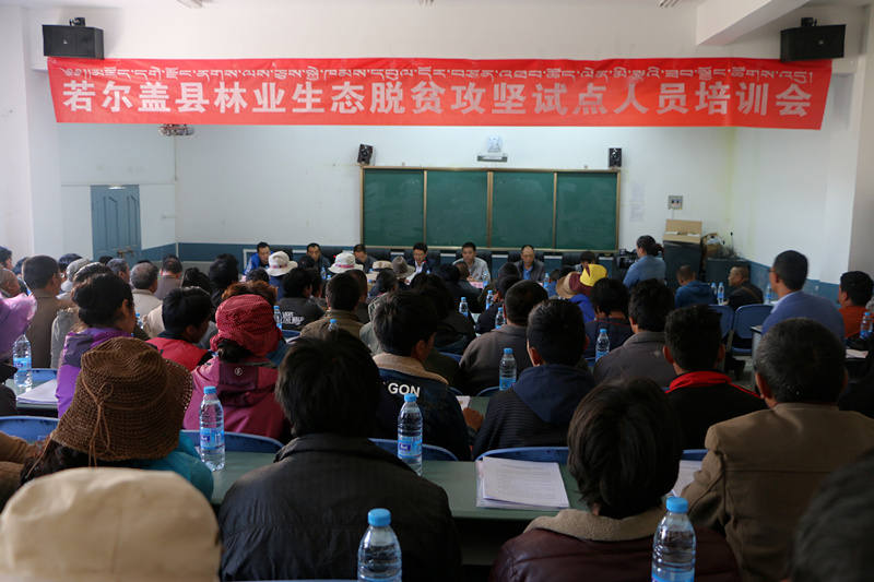 若尔盖县依托林业生态产业助力脱贫攻坚