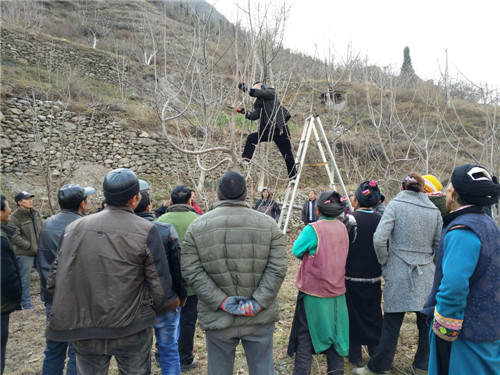 理县：农技员入户指导新型职业农民