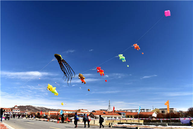 红原县举办首届“放飞梦想”风筝节