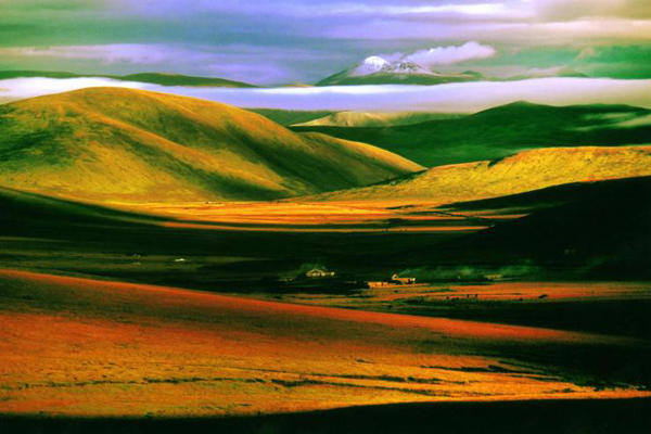 甘孜的草原，才是心中向往的草原