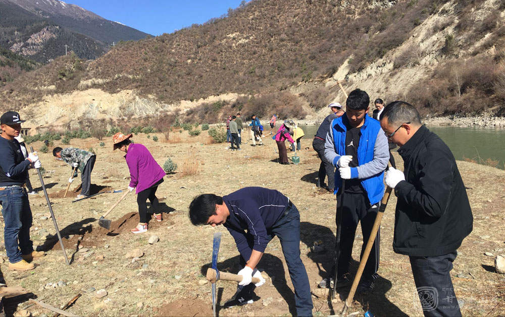 白玉县全面拉开义务植树序幕
