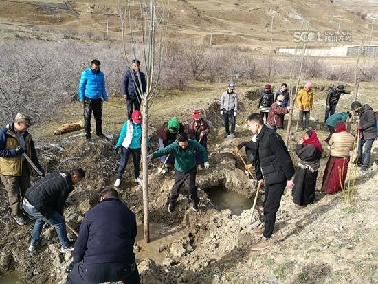 甘孜县今年计划义务植树14.37万株