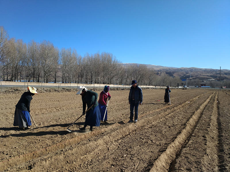 甘孜县科技培训展开农业产业扶贫春季攻势