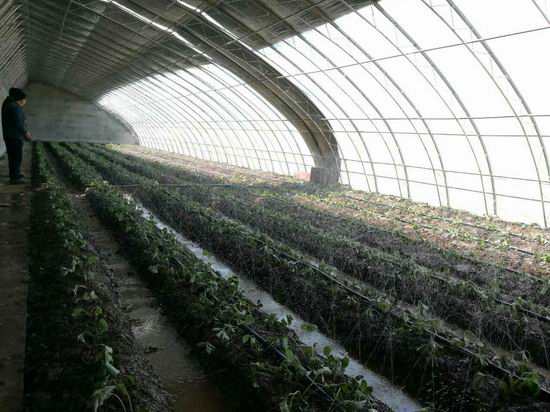 甘孜县打造高原现代化农业科技园助推脱贫