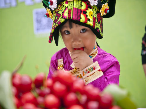 理县乡村“樱”乐节开启助农增收模式