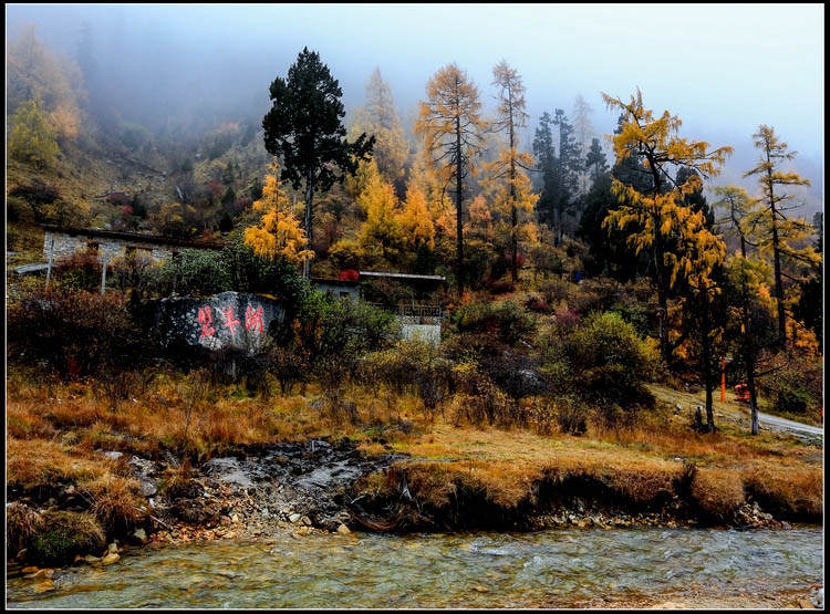 理县六月中旬完成大病救治台账建立