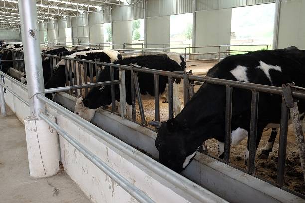 甘孜县投资2658万元培育特色产业，走出一条别样“致富路”