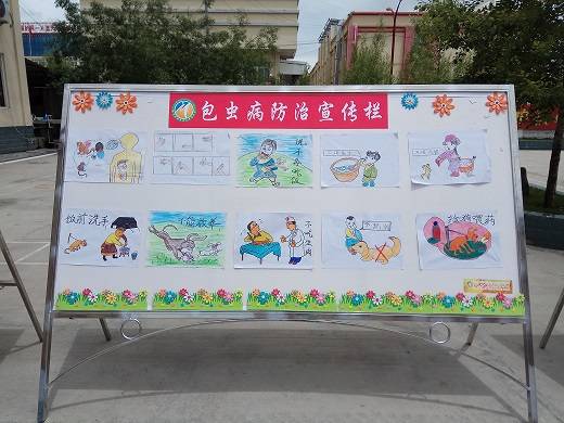 甘孜县开展包虫病防治知识漫画展宣传活动