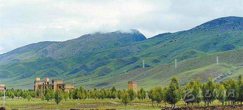 稻城实施“大规模绿化全州·稻城行动”