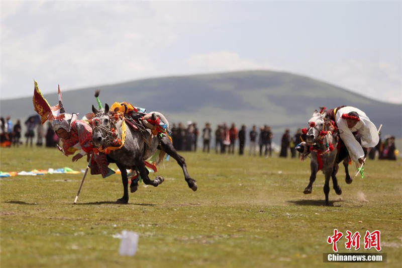 康巴男儿策马扬鞭 玉树嘉塘草原马背展艺