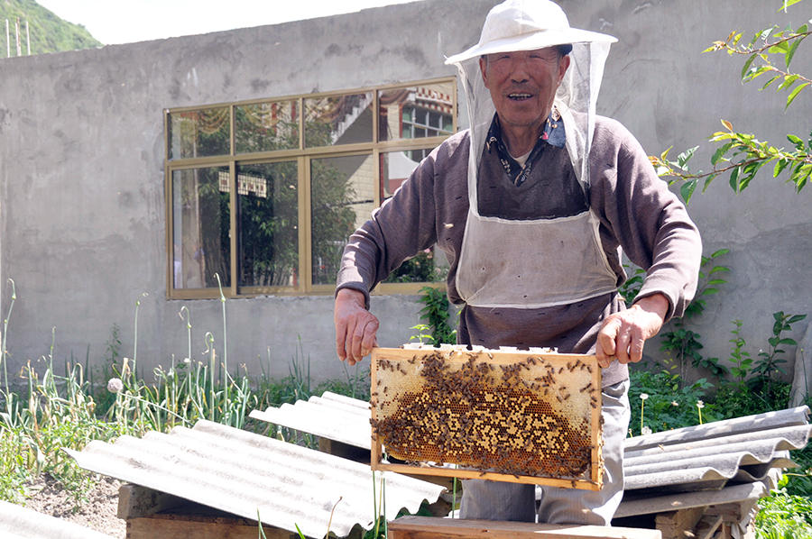 小金县：产业扶贫铺就致富路