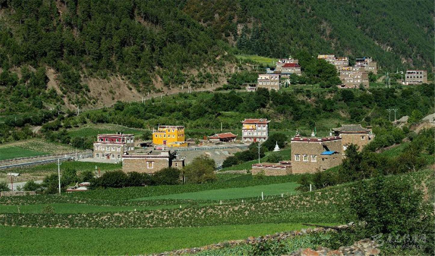 守护一方绿水青山