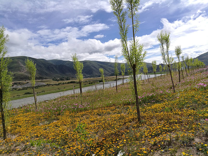 履行“河长制”  护好一江清水