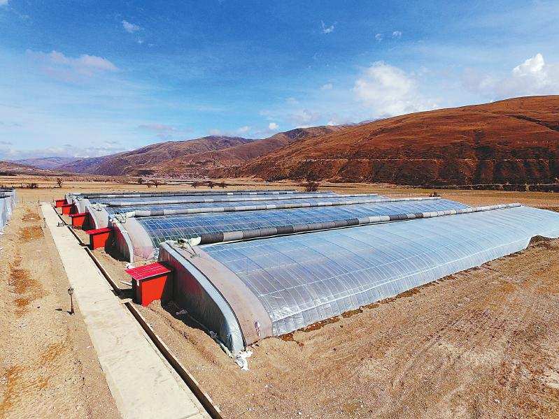 炉霍创新探索飞地扶贫模式