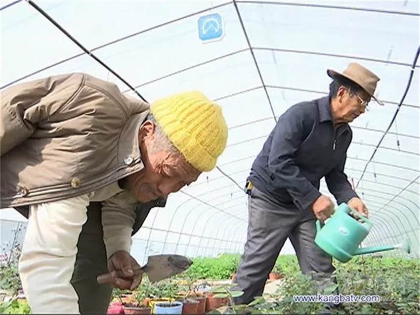 “绣”出德格美好未来