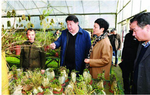 聚焦困难群众强化产业引导 切实提高群众满意度和获得感