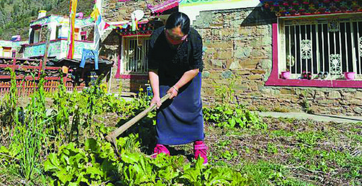 壤塘县吾伊乡章腊村50多户牧民群众领到民俗村落牌子