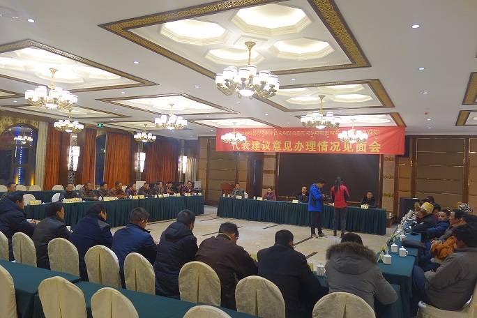 一场别开生面的人大代表建议“面复会”