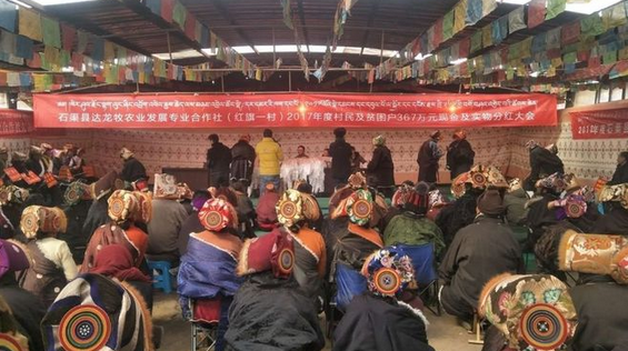 牧民分红喜颜开 开开心心迎新年