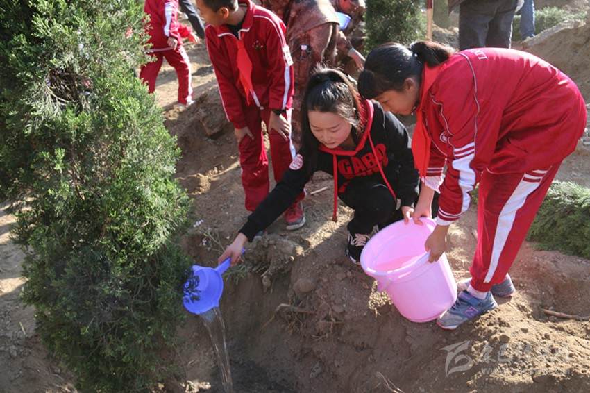 绿润甘孜 我在行动