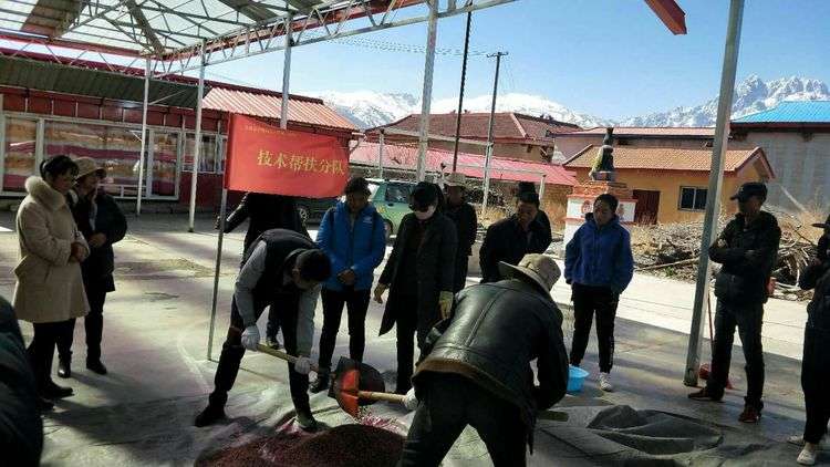 甘孜县打好春耕备耕“科技牌”