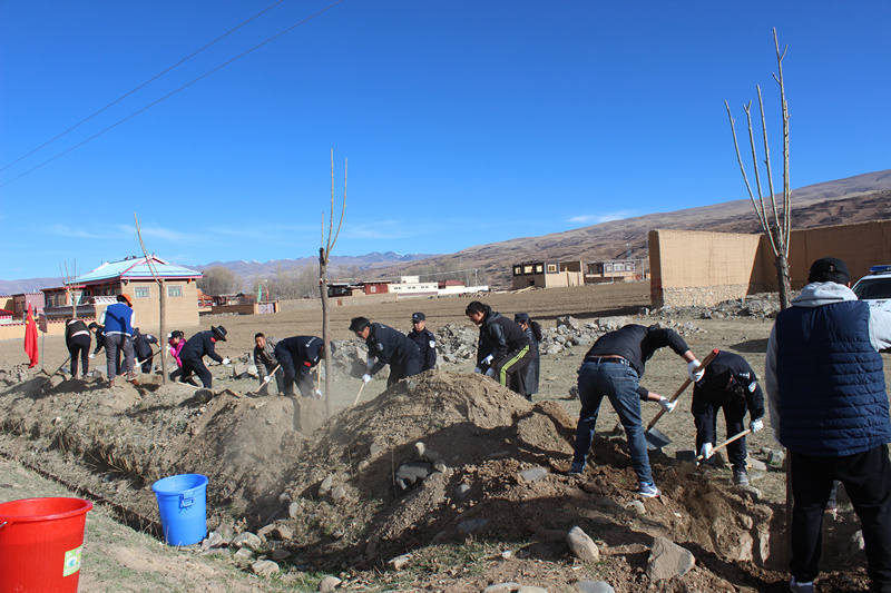 甘孜县今年计划义务植树26.2万株