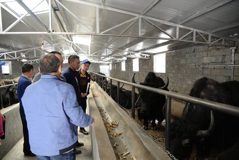 科技扶贫万里行，助推小金产业发展