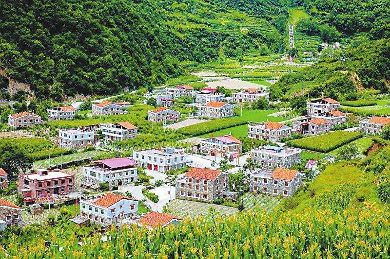 湘理相亲 灾区变景区家园变花园