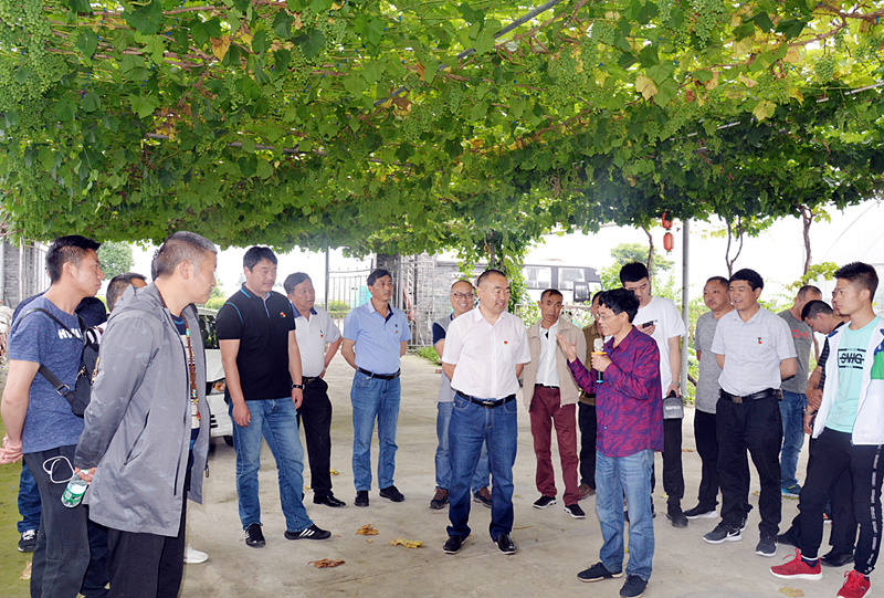 小金县：开展“一家人 一家亲”为主题的党建活动