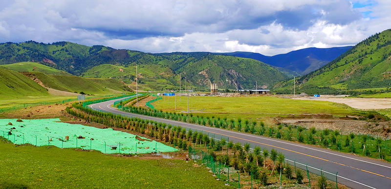 美化家园氛围浓