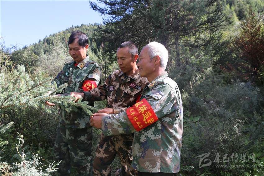 道孚县林场工人倾心守护一片青山绿水