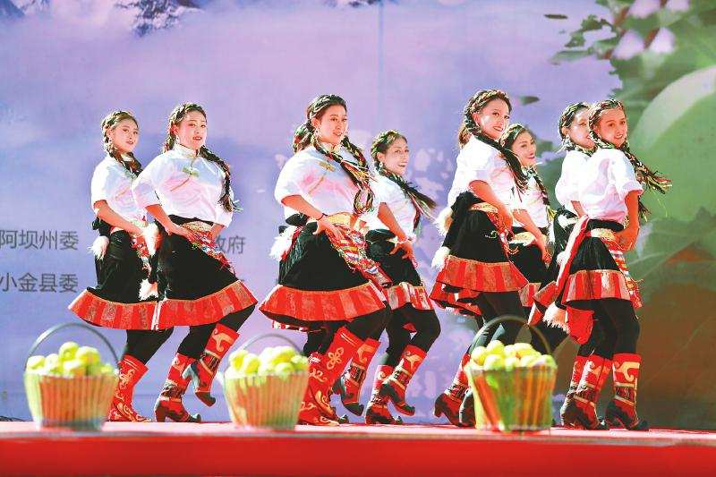 小金第三届苹果采摘节在小金县沃日镇举行