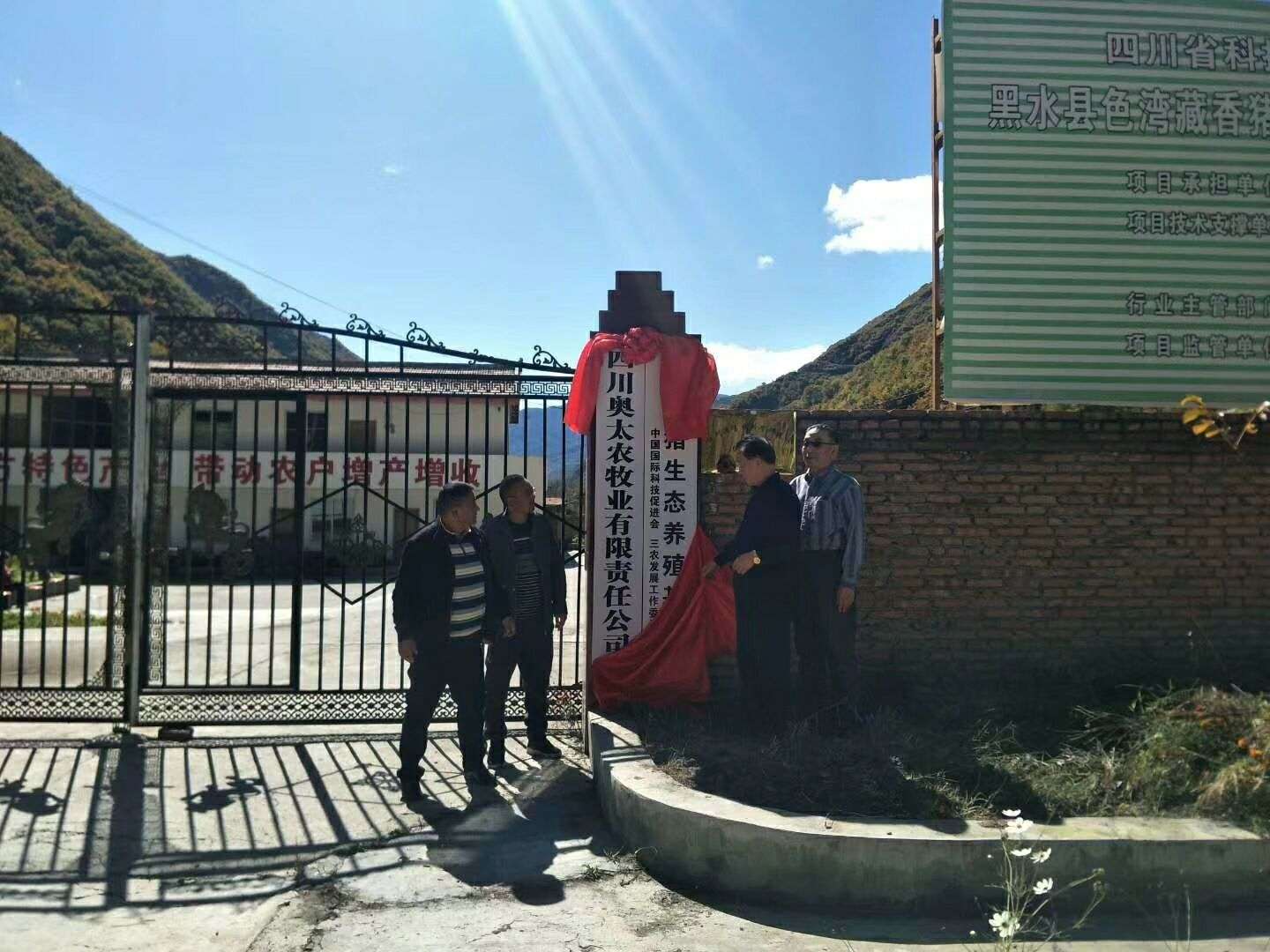 黑水县藏香猪养殖基地挂牌成立