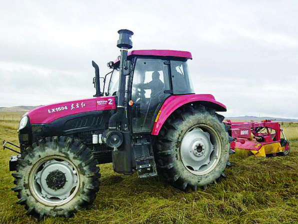 若尔盖麦溪人工草获丰收