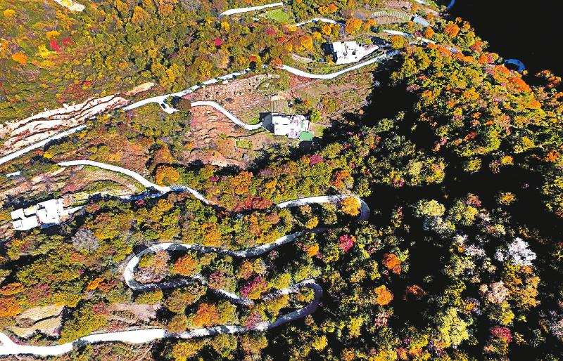 丹巴的彩林盘山公路