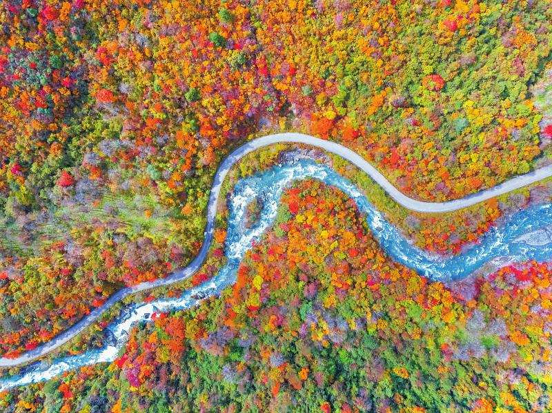 松潘县丹云峡景区迎来一年一度的最佳红叶观赏期
