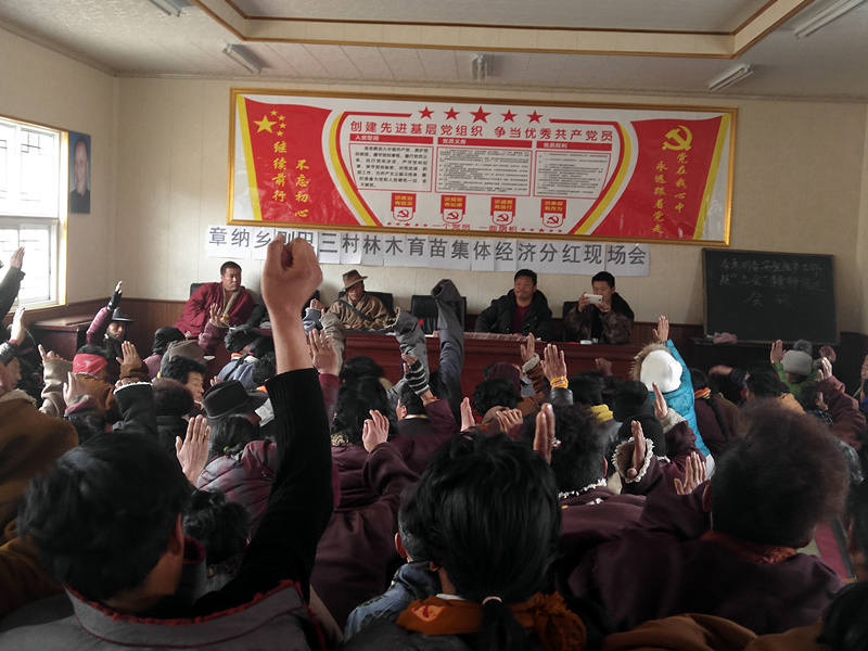 理塘县则巴等三村参与植被恢复喜分红