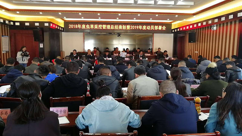 甘孜县召开2018年度虫草采挖管理总结表彰 暨2019年度动员部署会