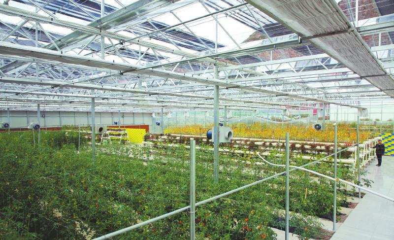 巴塘县高原鲜生态农业产业园助力扶贫发展