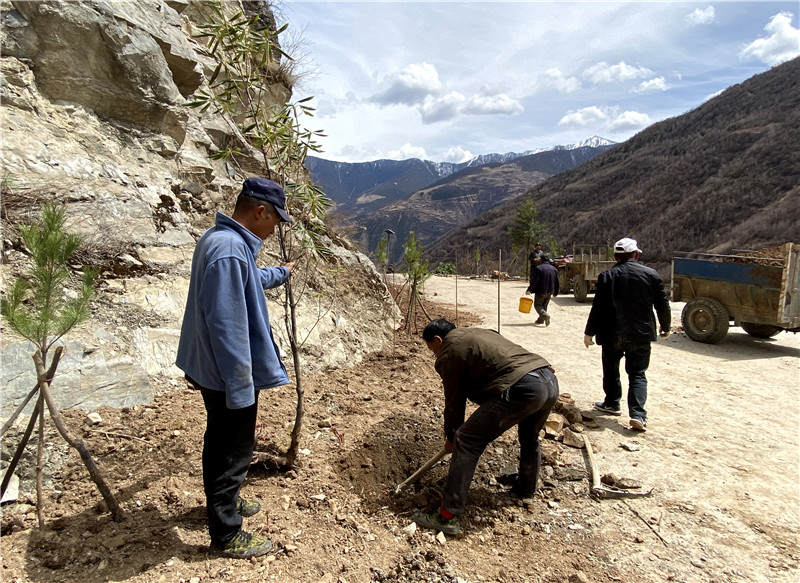 小金县：人勤春早植树忙 齐心打造最美村道